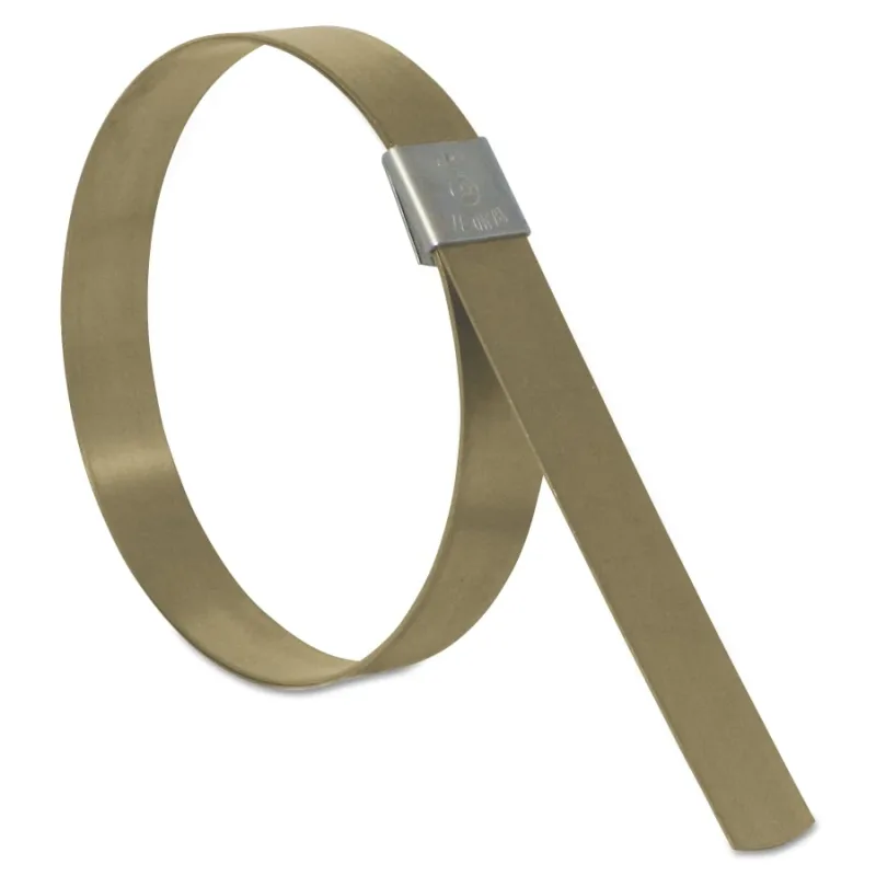 CP Series Center Punch Clamp, 5 in dia, 5/8 in Wide, 0.025 in Thick, Galvanized Carbon Steel
