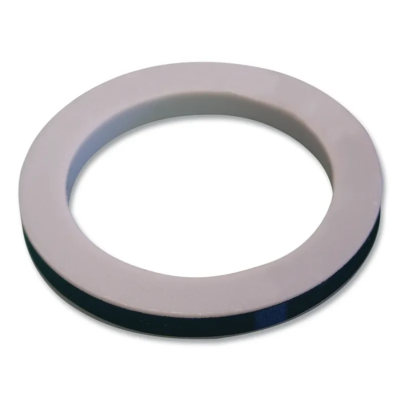 GASKET W/INSERT