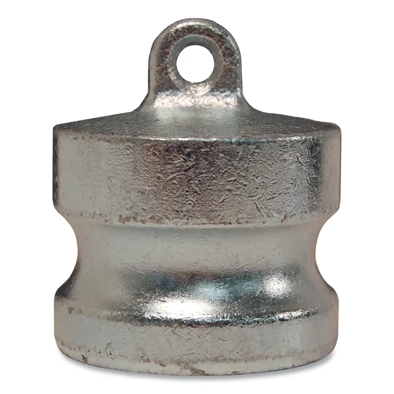 2" PLATED IRON ADPT PLUG