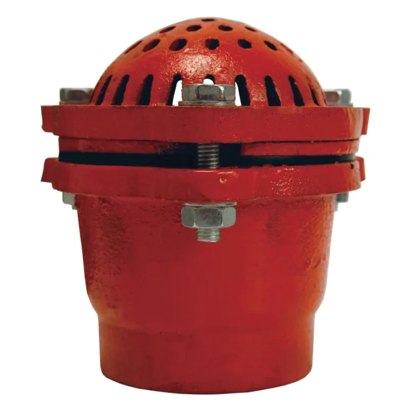 Painted Foot Valves, 2 in Outlet, Female/Female, Cast Iron