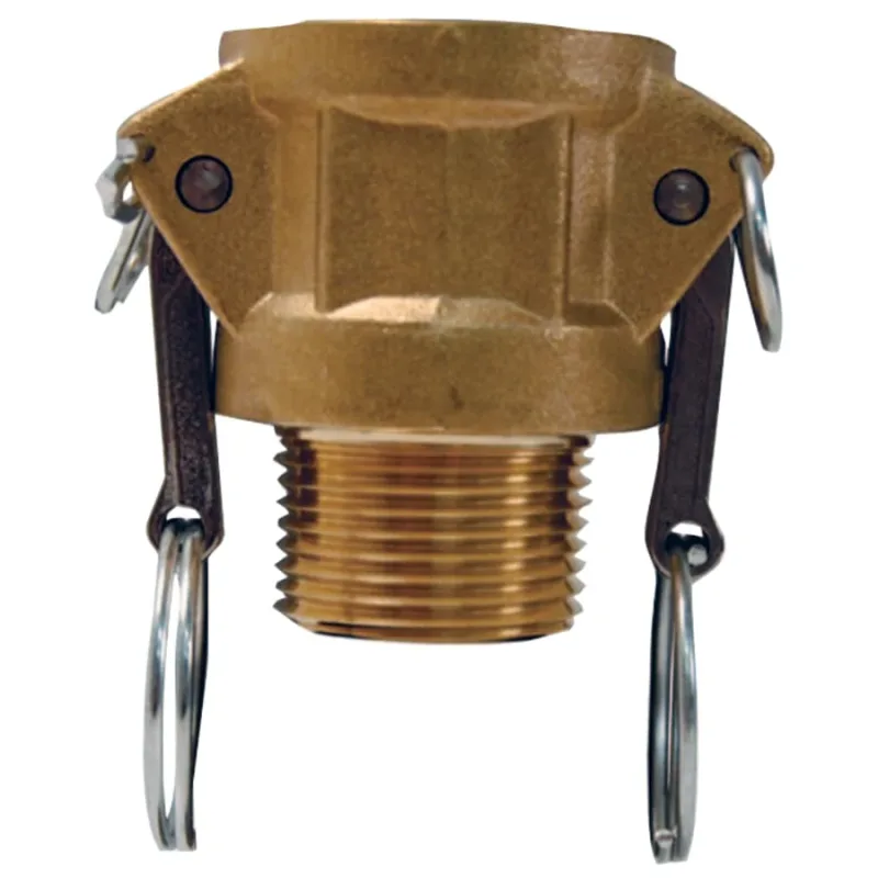 Global Type B Couplers, 1 in (NPT), Brass