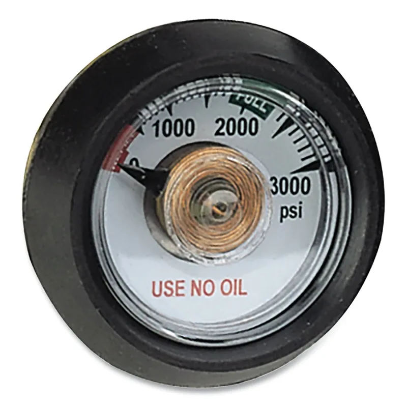 Replacement Parts for Economy Rental Inflator, Gauge
