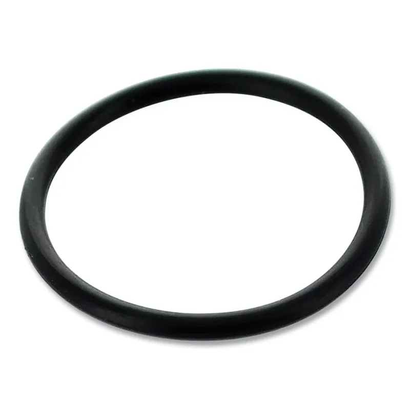 O-Ring, for SL60 / SL100, 70-801 Buna