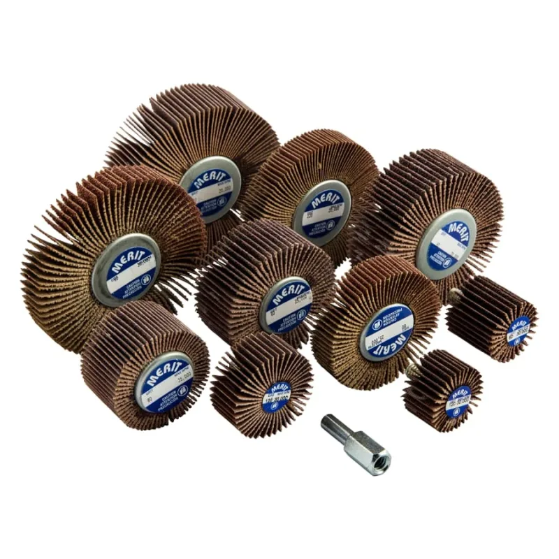 Flap Wheel Test Kits, 20 in Dia.