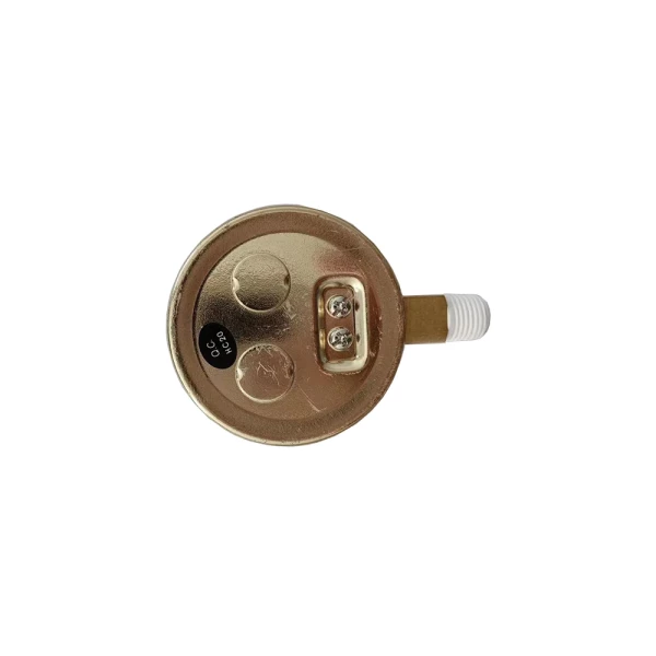 Blue Star 2.5" Replacement Pressure Gauge 100 PSI Brass Case (BS25X0100B) - additional view 1