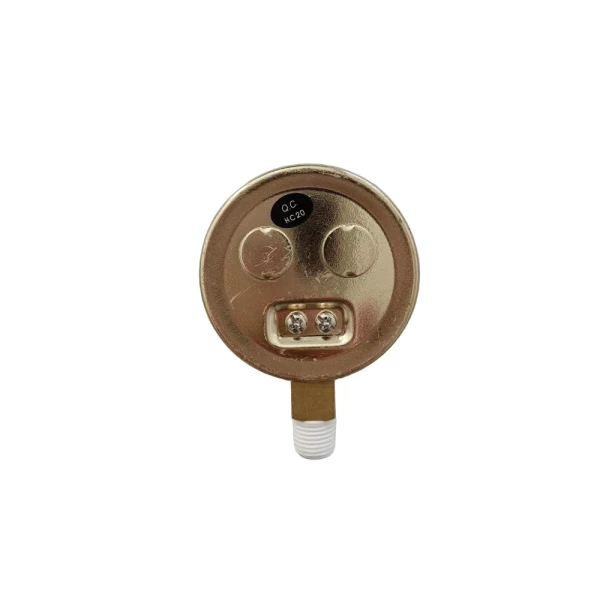 Blue Star 2.5" Replacement Pressure Gauge 4000 PSI Brass Case (BS25X4MB) - additional view 1