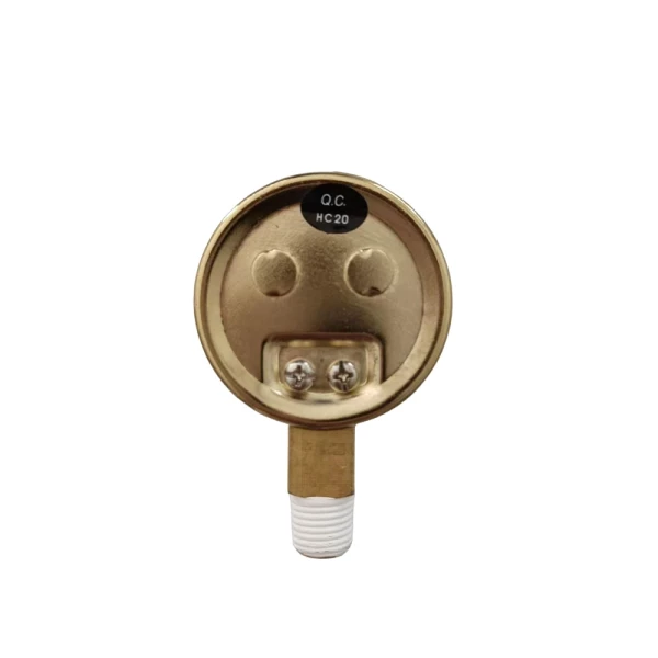 Blue Star 2" Replacement Pressure Gauge 100 PSI Brass Case (BS2X0100B) - additional view 1