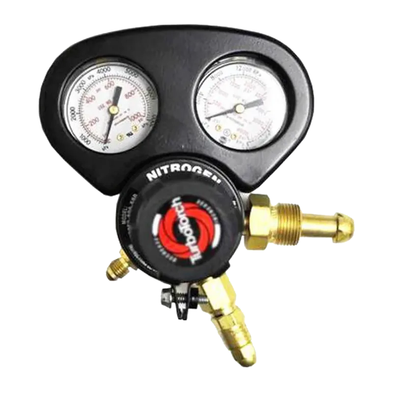 DP250-800-580 NITROGEN PURGE