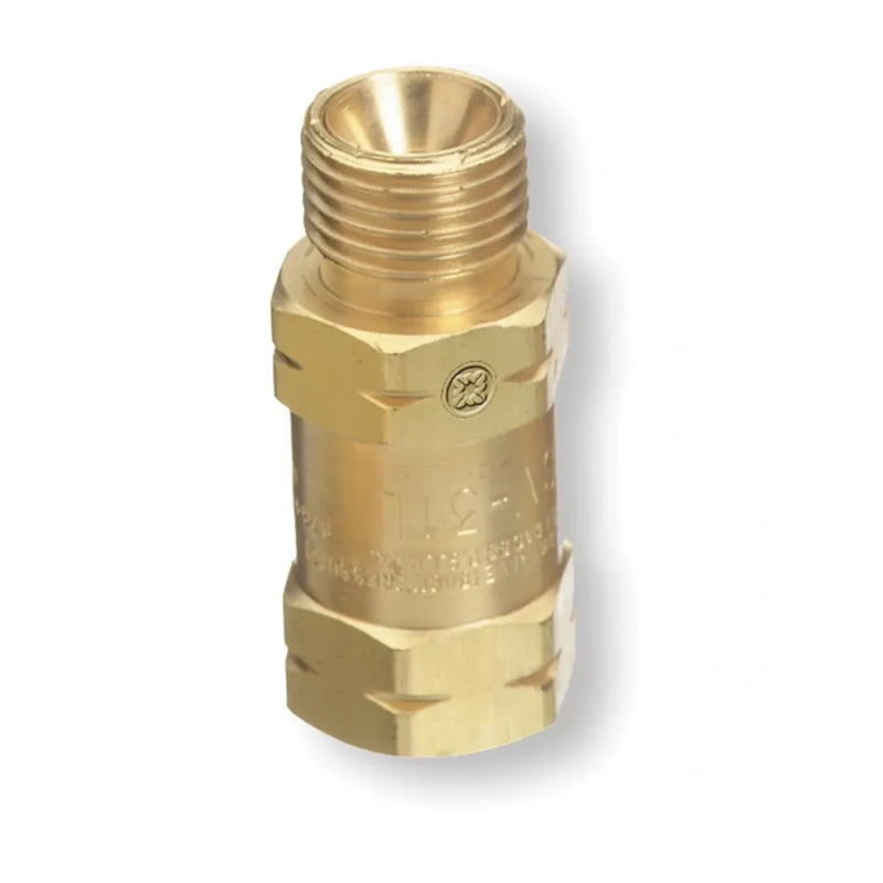 Western Enterprises CV-31L Check Valve (WESCV31L) - additional view 1
