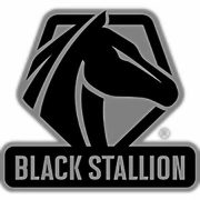 Black Stallion